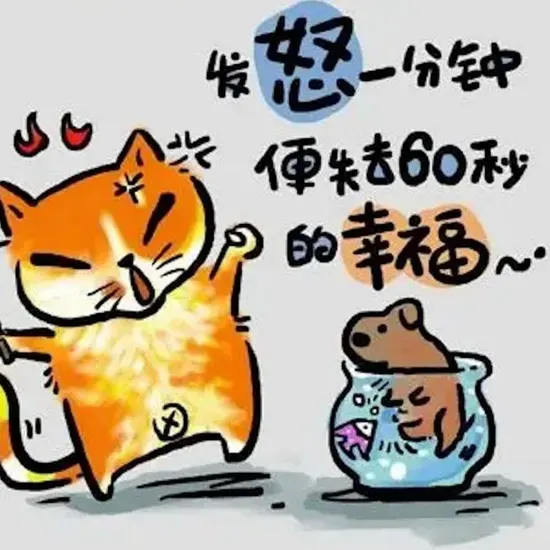 旅行中的小确幸